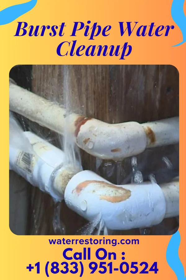 Burst Pipe Water Cleanup in Kenefick, TX