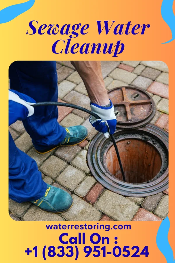 Sewage Water Cleanup in Kenefick, TX